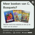 De kerststal / Kerstmis pop-up / N4125/2 9789041203281, Boeken, Verzenden, Gelezen, C. Busquets