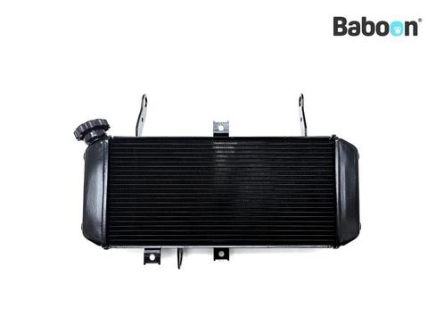 Radiateur Suzuki SV 650 2004 (SV650N SV650S SV650 K4), Motoren, Onderdelen | Suzuki, Gebruikt, Verzenden