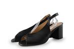 Notre-V Pumps in maat 41 Zwart | 10% korting, Kleding | Dames, Schoenen, Notre-V, Pumps, Verzenden, Zwart