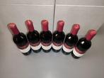 2020 Poggio Valente Fattoria le Pupille - Toscane IGT - 6, Nieuw