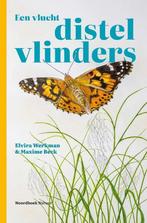 Een vlucht distelvlinders 9789464710779 Elvira Werkman, Boeken, Verzenden, Zo goed als nieuw, Elvira Werkman
