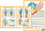Anatomie poster hand- en voetreflexologie (Nederlands, g..., Sport en Fitness, Massageproducten, Nieuw