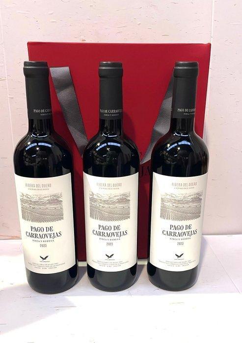 2023 Pago de Carraovejas - Ribera del Duero - 3 Flessen, Verzamelen, Wijnen