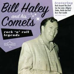 cd - Bill Haley And His Comets - Rock n Roll Legend, Cd's en Dvd's, Cd's | Overige Cd's, Zo goed als nieuw, Verzenden
