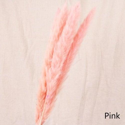 Dried Pampas Fluffy Pink Soft Roze 70 cm, Huis en Inrichting, Woonaccessoires | Kunstplanten en Kunstbloemen, Nieuw, Ophalen of Verzenden
