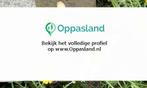 Milentje zoekt een oppas in Amsterdam.