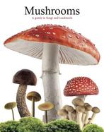 9781838864392 Mushrooms Liz OKeefe, Boeken, Verzenden, Nieuw, Liz O'Keefe