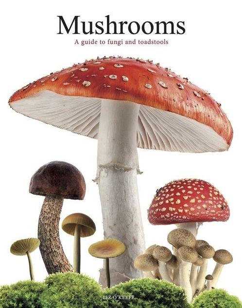 9781838864392 Mushrooms Liz OKeefe, Boeken, Studieboeken en Cursussen, Nieuw, Verzenden