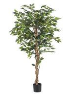 Kunstplant Ficus Groen | 180cm, Ophalen, Nieuw
