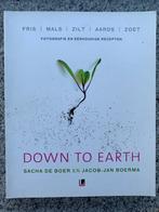 Down to Earth (Sacha de Boer en Jacob-Jan Boerma), Boeken, Kookboeken, Nieuw, Nederland en België, Sacha de Boer, Gezond koken