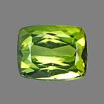 1 pcs Groen, Geel Toermalijn - 4.68 ct - nternational, Nieuw