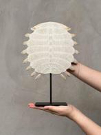 Geen reserveprijs - Indrukwekkende Chinese zachte, Antiek en Kunst