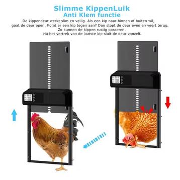 Metalen Chickenguard automatische kippendeur met timer