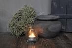 Unieke ronde houten pot Antiq Grey, Nieuw, Ophalen of Verzenden