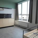 Gemeubileerde studio met wasmachineaansluiting, pa..., 20 tot 35 m², Maastricht