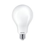 Philips CorePro Led A95 23W Hoge Lumen E27 Daglicht Lamp -, Tuin en Terras, Buitenverlichting, Verzenden, Nieuw, Overige typen
