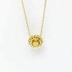 Tiffany & Co. - Ketting met hanger - 18 karaat Geel goud, Sieraden, Tassen en Uiterlijk, Antieke sieraden