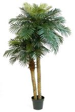 Kunstplant Phoenix Palmboom Double 210 cm