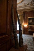 Gemsbok Hoorns - Oryx gazella - 3 cm - 3 cm - 70 cm-