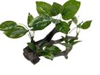 Planten op hout 28cm OS-226 - aquarium decoratie, Dieren en Toebehoren, Vissen | Aquaria en Toebehoren, Ophalen of Verzenden, Nieuw