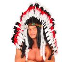 Pluim Luxe Indiaans 1,2m, Verzenden, Nieuw