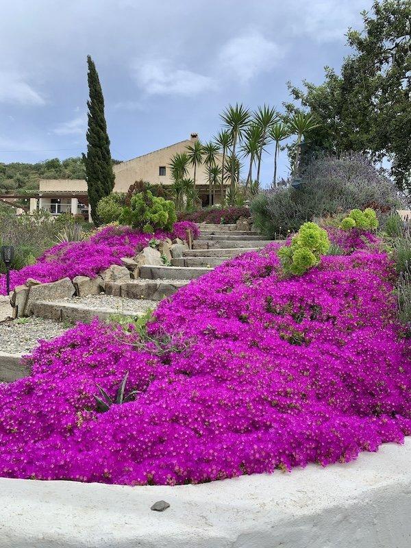 Fijne en ruime vakantiehuizen in de bergen nabij Málaga, Vakantie, Vakantiehuizen | Spanje, Landelijk, Costa's overige, Aan meer of rivier