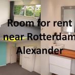 kamer in Nieuwerkerk-aan-den-ijssel gevonden voor €999,- pm, 50 m² of meer, Overige regio's