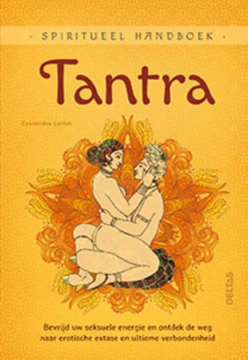 Spiritueel handboek  -   Tantra 9789044747812, Boeken, Hobby en Vrije tijd, Gelezen, Verzenden
