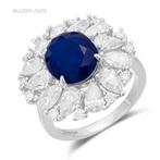 Design ring – € 1.500,-, Ophalen