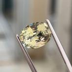 Toermalijn - 6.39 ct - International Gemological Institute, Nieuw