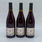 2021 Aymerick Geantet Plume rouge - Jura - 3 Fles (0,75, Verzamelen, Nieuw