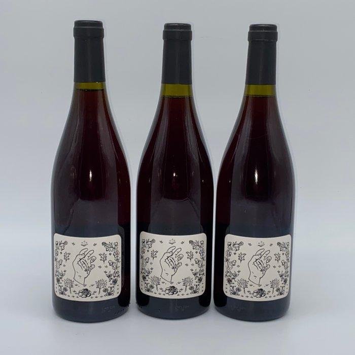 2021 Aymerick Geantet Plume rouge - Jura - 3 Fles (0,75, Verzamelen, Wijnen