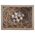 schootkussen eieren in nest 43cm, Huis en Inrichting, Nieuw, Verzenden