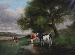 Hollandse School (XX) - Koeien in landschap