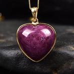 Geen veilingruimte - ALGT-gecertificeerd - Grote en