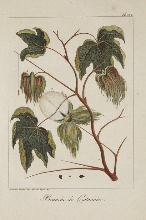 Tardieu - Plates 16 and 36 from Stedmans Voyage a Surinam, Antiek en Kunst, Antiek | Boeken en Bijbels