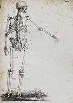 Constantino Squanquerillo - Anatomia per Uso dei Pittori e, Antiek en Kunst