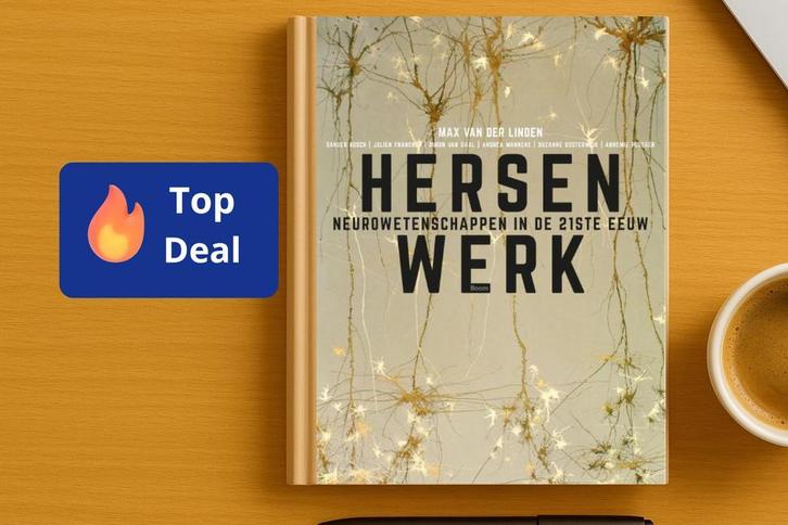 Hersenwerk, 9789058758675, Boeken, Studieboeken en Cursussen, Zo goed als nieuw, Verzenden