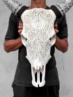 GEEN RESERVEPRIJS - Witte koeien-schedel met Boheemse