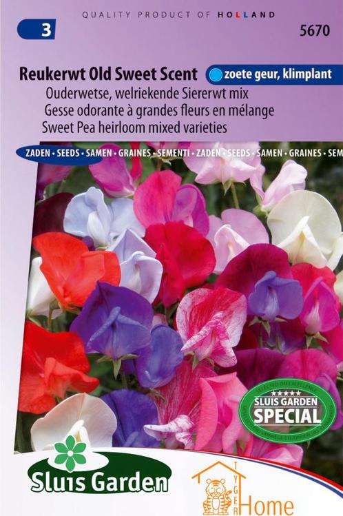 Reukerwt Old Sweet Scent Zaden, Ouderwetse Welriekende, Tuin en Terras, Bloembollen en Zaden, Verzenden