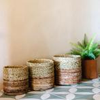 Kleine zeegrasmand BHINNEKA (tweekleurig) | Plantenmand | Kl, Verzenden, Nieuw