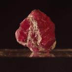 4,93 g Memento Ignis – Rubin in stoïcische verheffing op