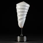 Gegoten Schelp - Conus Litteratus - Zeeschelp - Plexiglass
