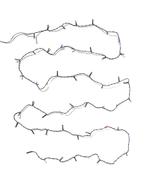 HEMA Lichtsnoer 8.67m met 50 LED lampjes voor binnen en, Verzenden, Nieuw