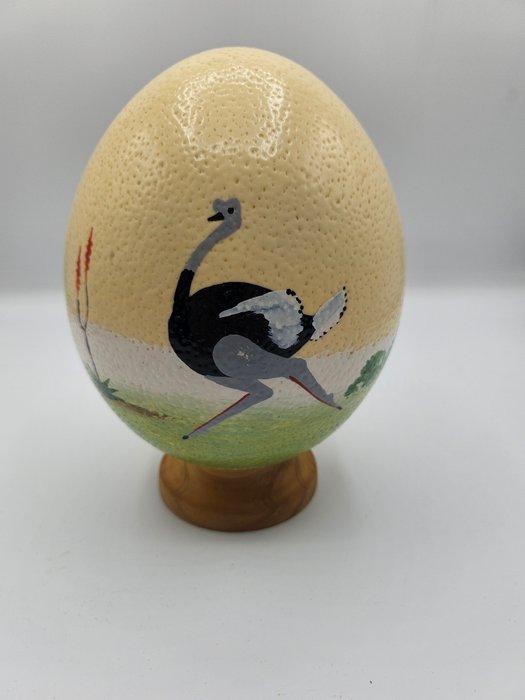 Struisvogel Ei - Struthio camelus - 19 cm - 12 cm - 12 cm, Antiek en Kunst, Curiosa en Brocante