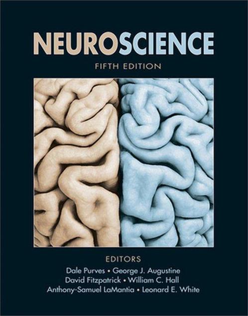 Neuroscience 9780878936953 Dale Purves, Boeken, Overige Boeken, Gelezen, Verzenden