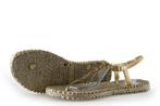 Ilse Jacobsen Sandalen in maat 38 Goud, Kleding | Dames, Schoenen, Overige kleuren, Verzenden, Sandalen of Muiltjes, Ilse Jacobsen