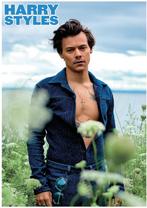 Posters - Poster Styles, Harry - Blauw, Verzenden, Zo goed als nieuw