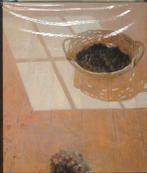 Jan van der Kooi - schilder tekenaar 9789072736147, Verzenden, Gelezen, D. Kraaijpoel