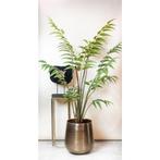 Kunstplant - Rumohra Adiantiformis - Ledervaren - 180 cm, Verzenden, Nieuw